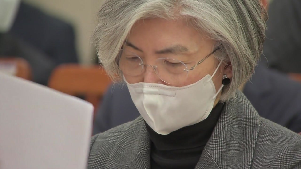 강경화 "입국제한, 방역 능력 없는 국가의 투박한 조치" / YTN