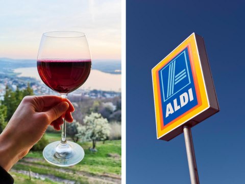 The Best Wines to Buy at Aldi for Under $15