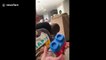 I can do this! Utah baby grins as he tries to pull apart two lego pieces