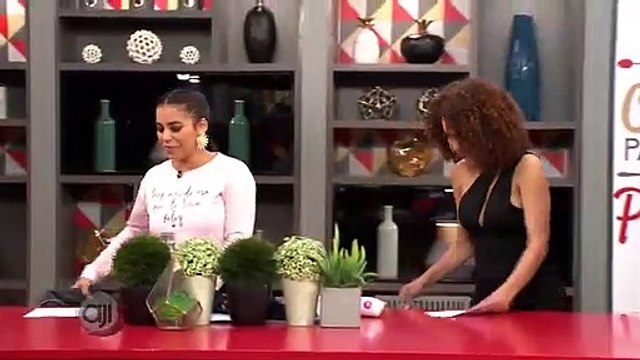 Tema AjÍ | Sapos panameños pueden albergar una cura para la enfermedad de chagas - Nex Panamá