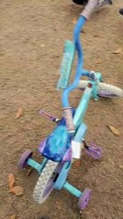 So Many Birds, So Little Bread