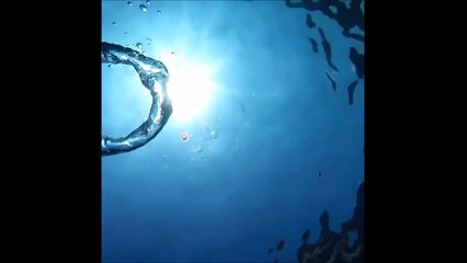 Cette pauvre méduse se retrouve piégée dans une bulle d'air... tourbillon