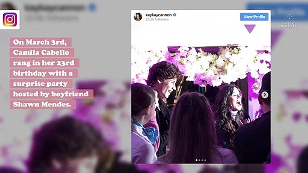 Shawn Mendes threw Camila Cabello a Cinderella-themed surprise birthday party, and the pics are so cute