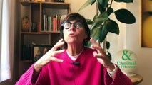 Interview 2 de Vinciane Despret : Les animaux sont-ils de gauche?