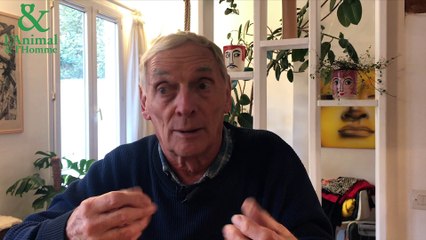 Interview 1 de Bernard Devaux : L’intelligence à pas de tortues