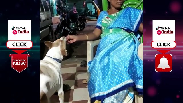 Funny Animals videos - funny monkey videos - funny vines videos - funny videos - funny vines - funny vines fails - funny animals - homeless animals - cats video - cute cats video - baby cats video - dogs video - cute dogs - baby dogs -fuuny cats - #1