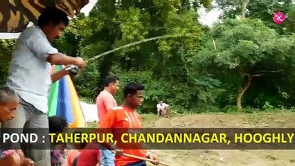 Fishing at Taherpur Full Muddy Pond | Rozina’s Club