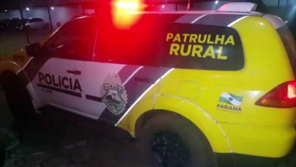 Patrulha Rural apreende 270.4 kg de maconha na BR-277, em Cascavel