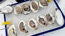 How oysters are farmed in Scotland's lochs