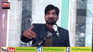 Masjid Nabvi o Kofa me any wala Hiran aor Sanp | Janab Allama Haji Ali Nasir Alhussaini