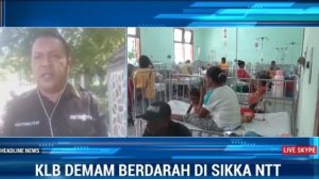 Selama 2020, Sebelas Warga Sikka Meninggal Dunia Akibat DBD