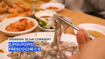 Assaggia se hai coraggio: il polpo più fresco che c'è
