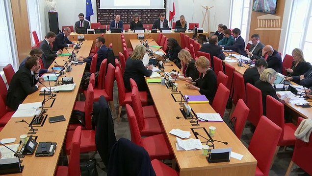 Commission des lois : Interdiction des techniques d’immobilisation létales : le décubitus ventral et le pliage ventral (ppl) ; Protection effective des lanceuses et des lanceurs d’alerte (ppl) - Mercredi 4 mars 2020