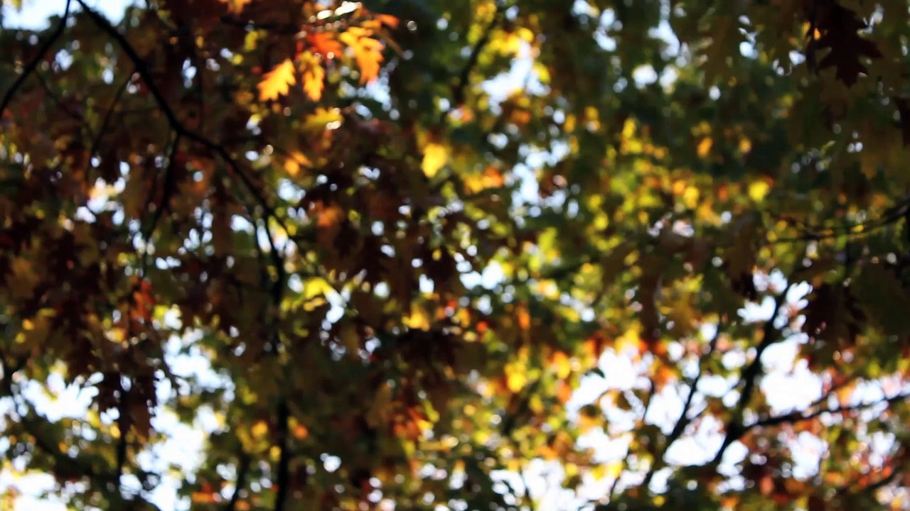 Spirit Sound Nordfriesland 2011 /Full Film/Complete Movie/Ganzer Film