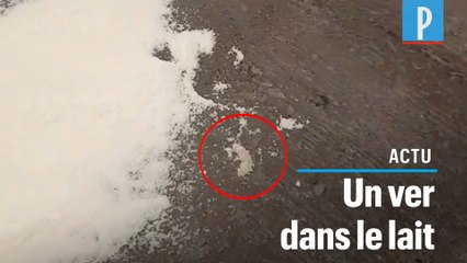 Elle découvre un ver dans le lait en poudre pour son bébé