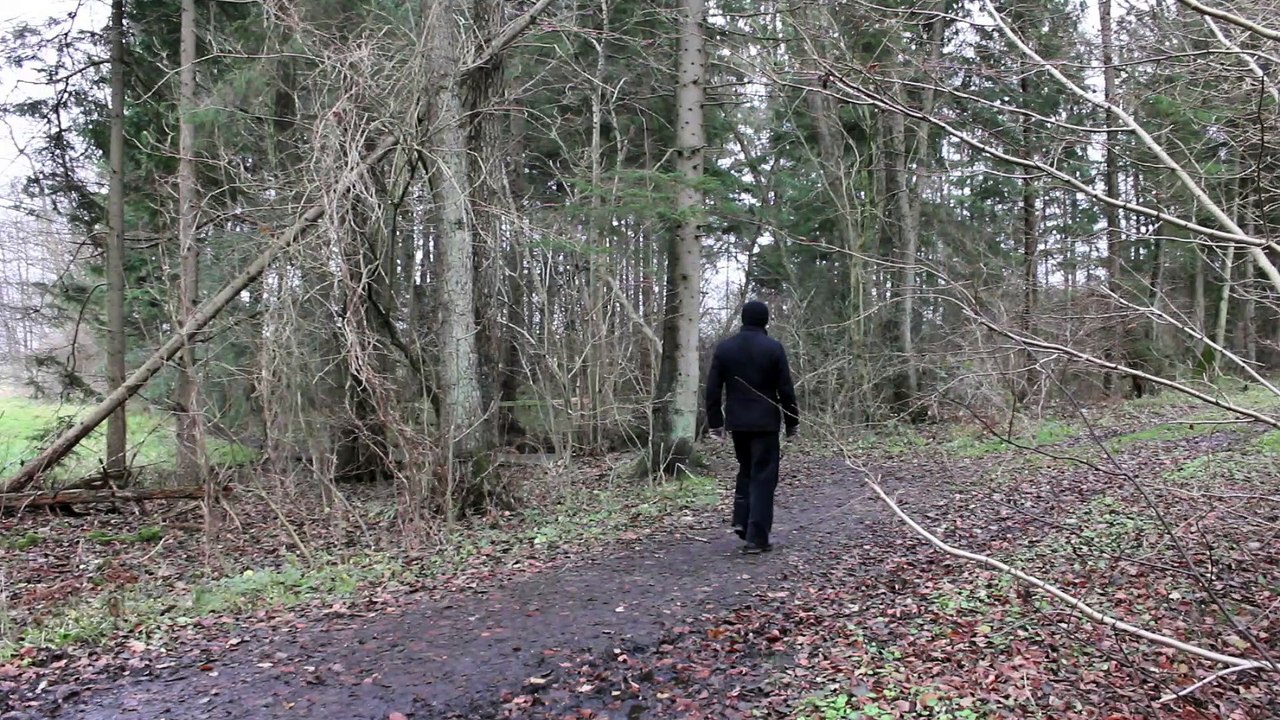 Der Bildhauer im Wald - Borstel-Hohenraden 2011 /Full Film/Complete Movie/Ganzer Film