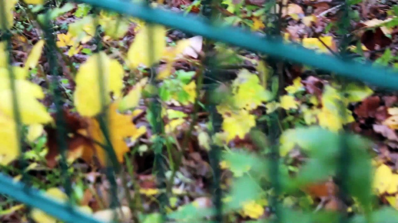 Spirit Sound Pinneberg 2013 Folge 01 /Full Film/Complete Movie/Ganzer Film