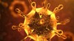 Coronavirus : इस वायरस का नाम क्यों पड़ा कोरोना | Coronavirus Name Origin | Boldsky