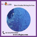 Best Scuba Diving In Goa