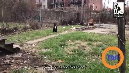 Alors que des enfants jetaient des pierres à cette chienne errante, l'impensable s'est produit !
