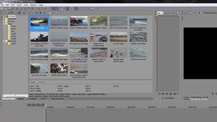 Vegas Pro 5 Smart Bins and Searching your Assets