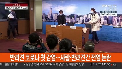 반려견 코로나19 첫 감염…사람-반려동물간 전염 논란