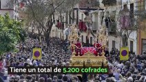 Top 10 Cofradías/Hermandades más numerosas de España