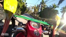 Riding Motorcycle With Three Parrots And Dog