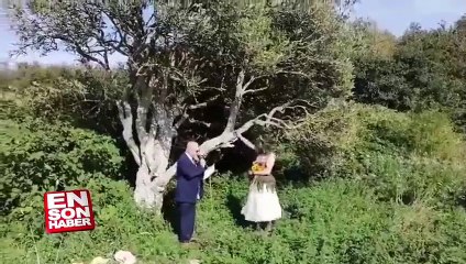 İngiltere'de bir kadın, ağaçla evlendi