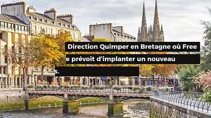 Free Mobile : quand des anti-ondes se refilent la patate chaude