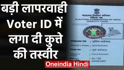 Murshidabad में Voter ID Card में लगा दी कुत्ते की तस्वीर, BDO ने दी अजीब सफाई  | वनइंडिया हिंदी