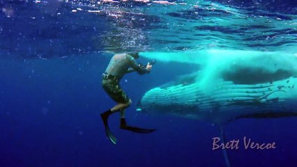 Closest whale encounters