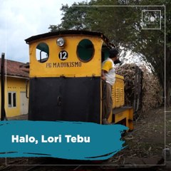 Halo Lori Tebu