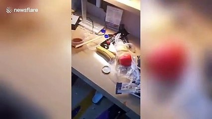 Quarantined resident leaves coronavirus hotel room in mess in north China