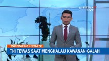 Usir Kawanan Gajah Liar, Prajurit TNI AD Tewas