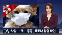 ‘사람→개’ 홍콩, 코로나 감염 확인…버려지는 개·고양이