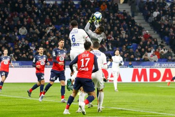 LOSC - OL : le bilan des Dogues à domicile