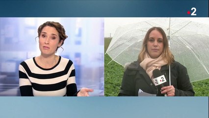 Déraillement d'un train dans le Bas-Rhin : un glissement de terrain serait à l'origine de l'accident