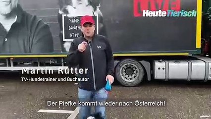 TV-Hundetrainer Martin Rütter auf Tour in Österreich
