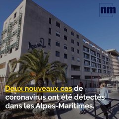 Coronavirus, marche violette, tortue relâchée: voici votre brief info de ce jeudi après-midi