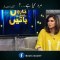 Khaleel ul rehman qamar latest interview /Mera jism meri marzi.