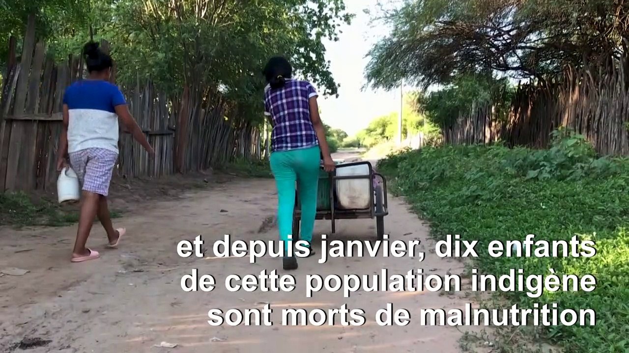 Argentine: la mort des enfants indigènes wichis, entre faim et oubli