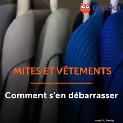 Mites et vêtements