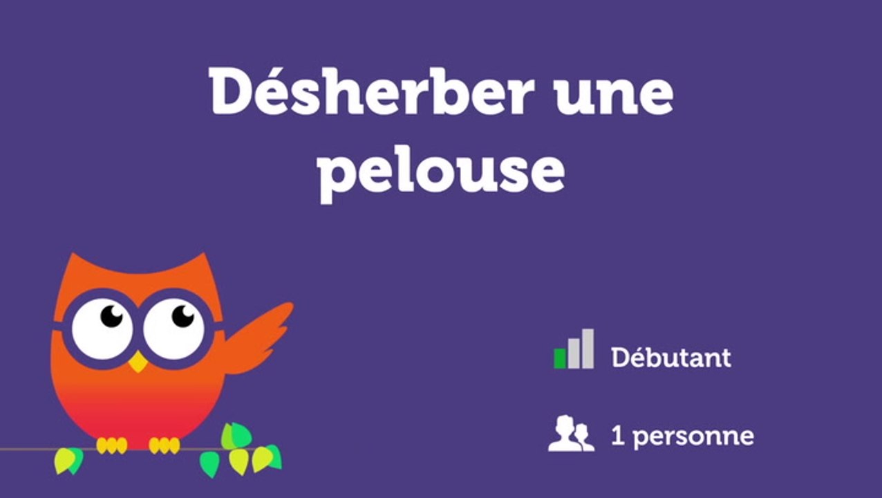 Désherber une pelouse