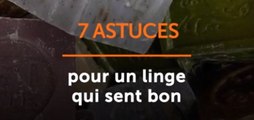 Astuces pour un linge qui sent bon