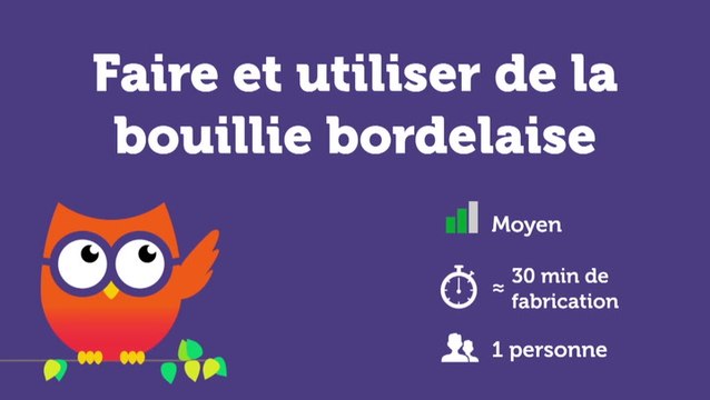 Faire et utiliser de la bouillie bordelaise