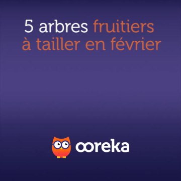 5 arbres fruitiers à tailler en février