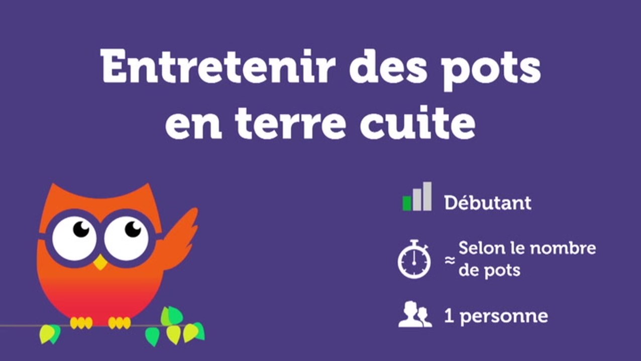 Entretenir des pots en terre cuite