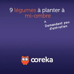 9 légumes à planter à mi-ombre