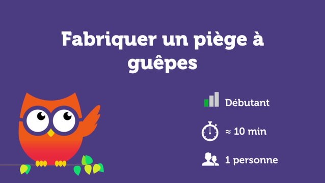 Fabriquer un piège à guêpes